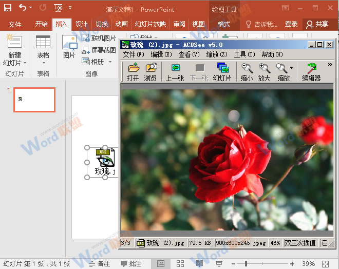 如何在PowerPint中链接外部图片(图7) 如何在PowerPint中链接外部图片(图7)