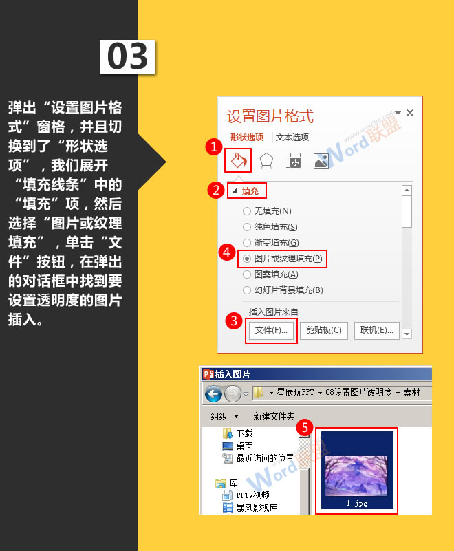 设置图片透明度:星辰玩PPT第八招(图4) 设置图片透明度:星辰玩PPT第八招(图4)