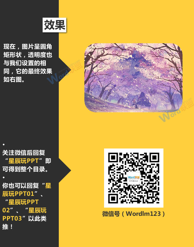 设置图片透明度:星辰玩PPT第八招(图6) 设置图片透明度:星辰玩PPT第八招(图6)